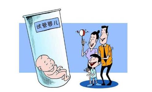 首席专家